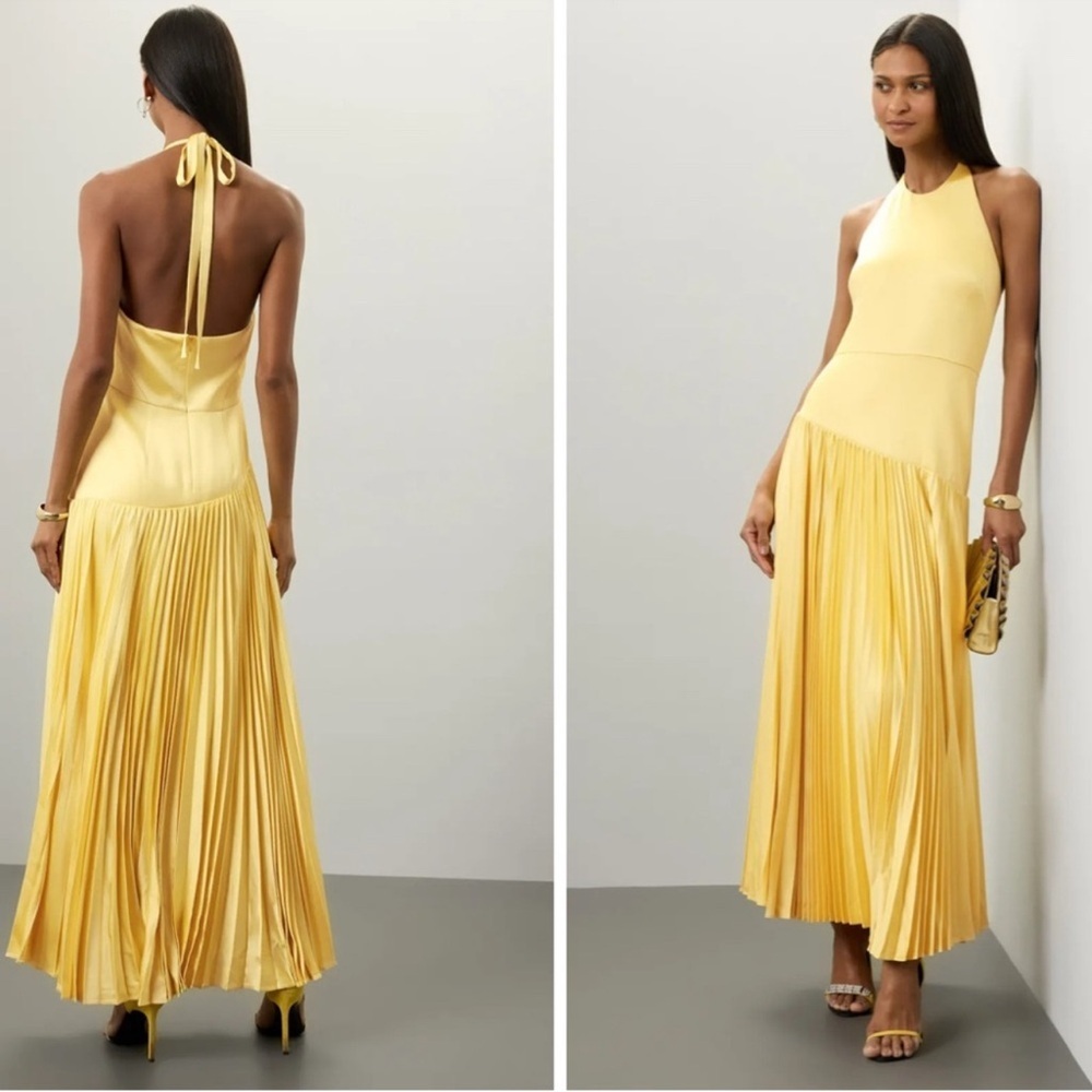 Alexis Saab Pleated Drop Waist Maxi Dress in Yellow S